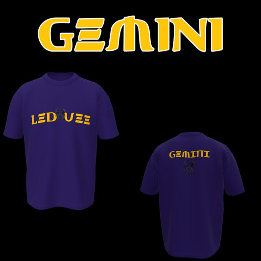 Gemini ♊️